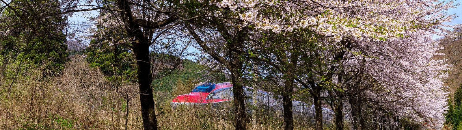 秋田県の駅から特別席を利用するのイメージ