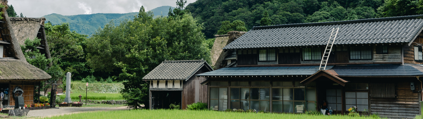 Image of nextNozomi'sUsing a premium seat from a station in Toyama Prefecture Prefecture page